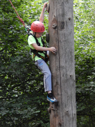 Tree climbing Live the Adventure